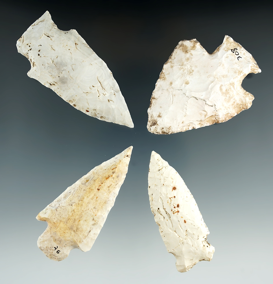 Four Missouri arrowheads, largest is 2 13/16".