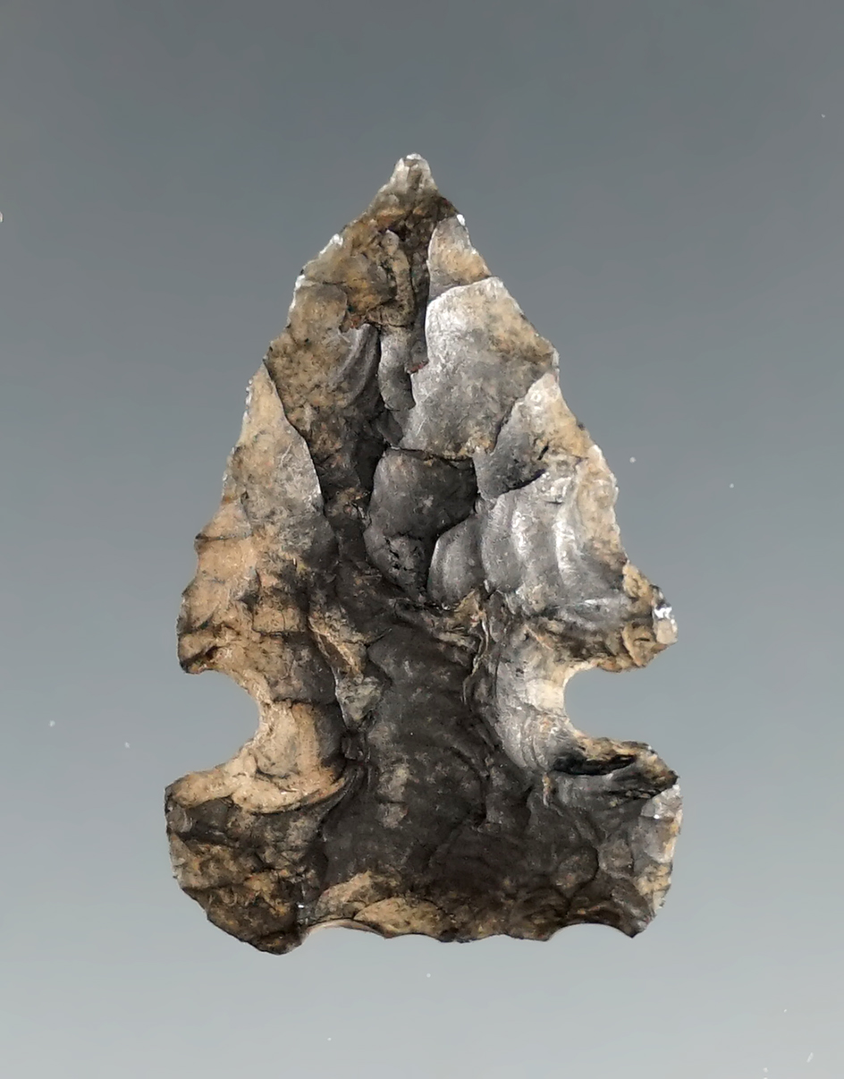 1 1/16" Northern Sidenotch made from obsidian found in Oregon. Ex. Favell Museum.