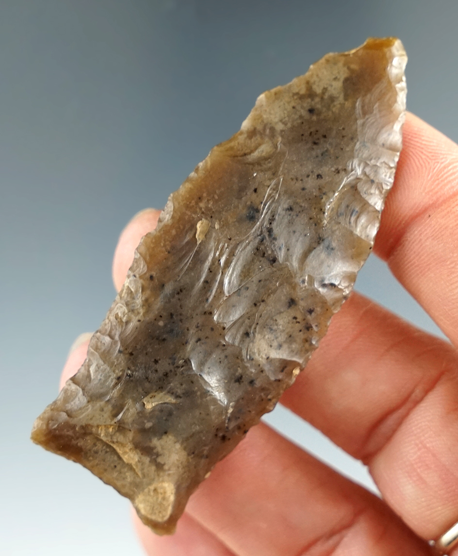 2 5/8" Paleo translucent Chalcedony "Beaver Lake" type point. Found in Kentucky.