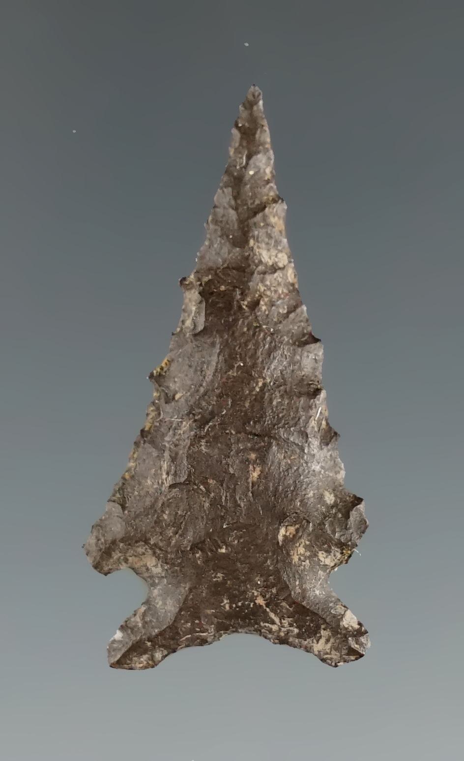 1 5/16" Snake River dart point made from basalt found near the Snake River, Washington.