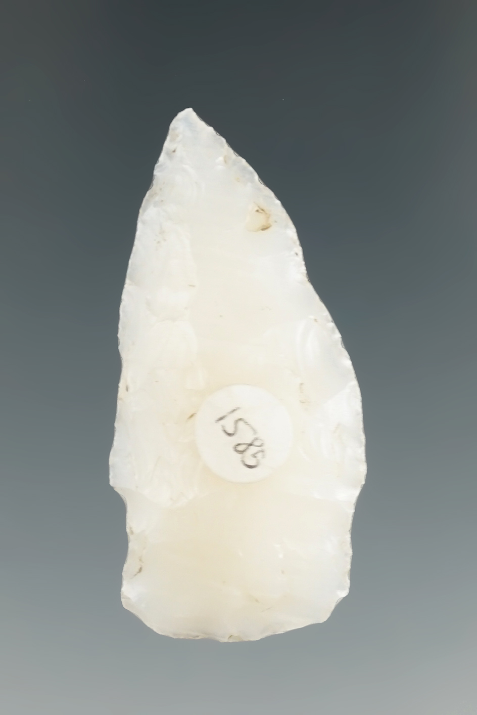 Ex. Museum! 1 3/4" Cody Complex Knife made from agatized wood found in Washington.