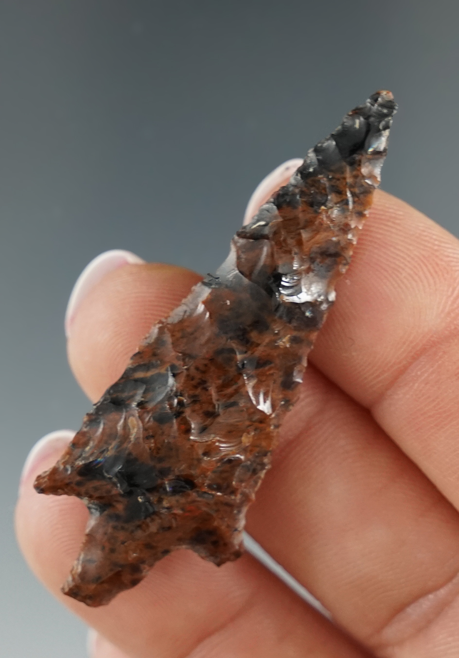 2" Rose Springs Stemmed made from attractive mahogany obsidian found in Oregon. Ex. Jim Hogue