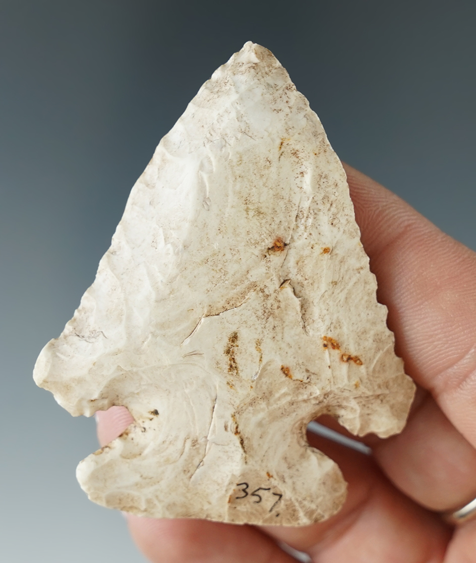 2 1/2" deeply beveled Burlington Thebes found in Pettis Co., Missouri.