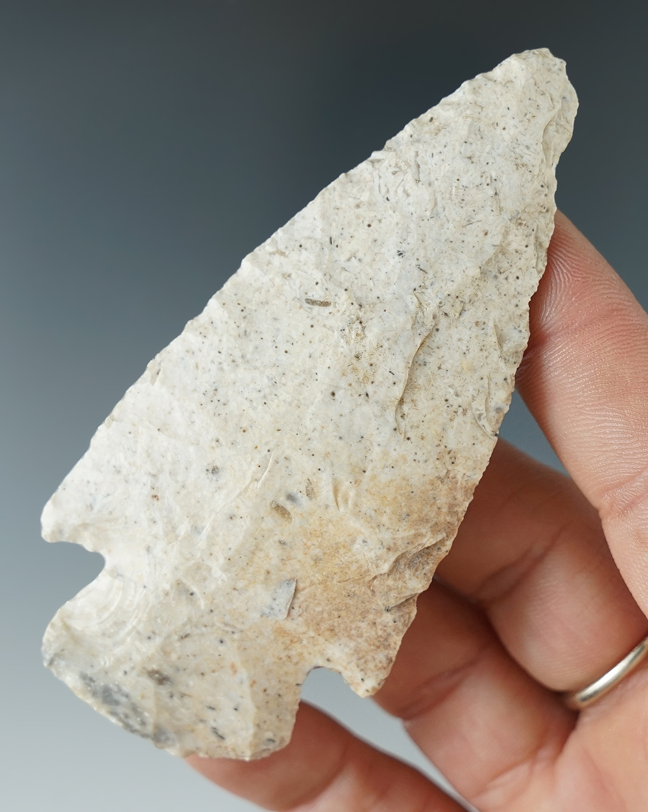 Nice size on this 3 1/2" Grand point found in Boone Co., Missouri.