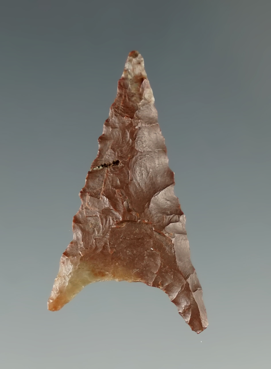 1 5/16" Gunther Triangular made from Jasper found in Oregon.