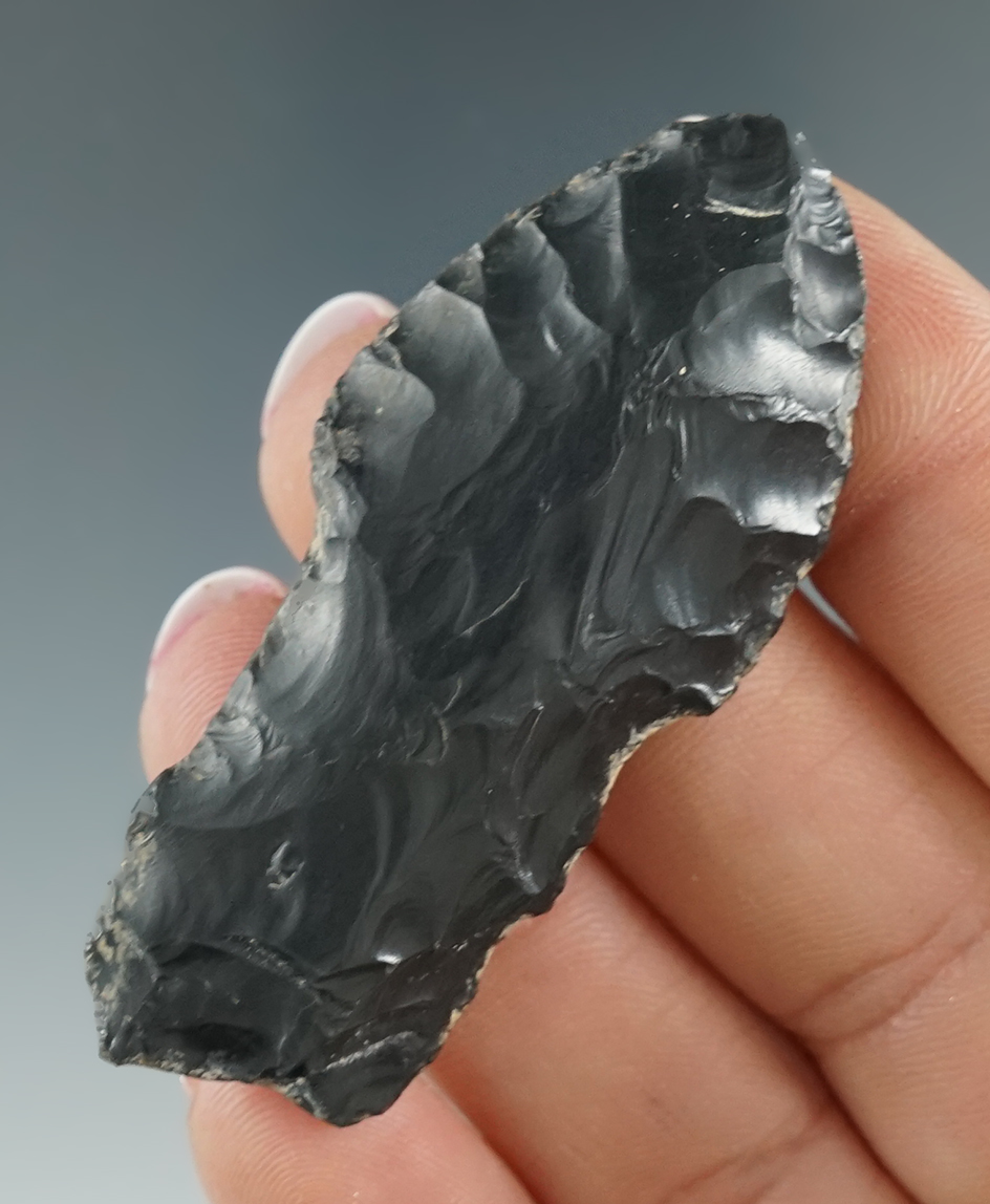 Pictured & Nice! 2 3/16" Paleo Windust/Alberta made from obsidian found in southern Oregon.
