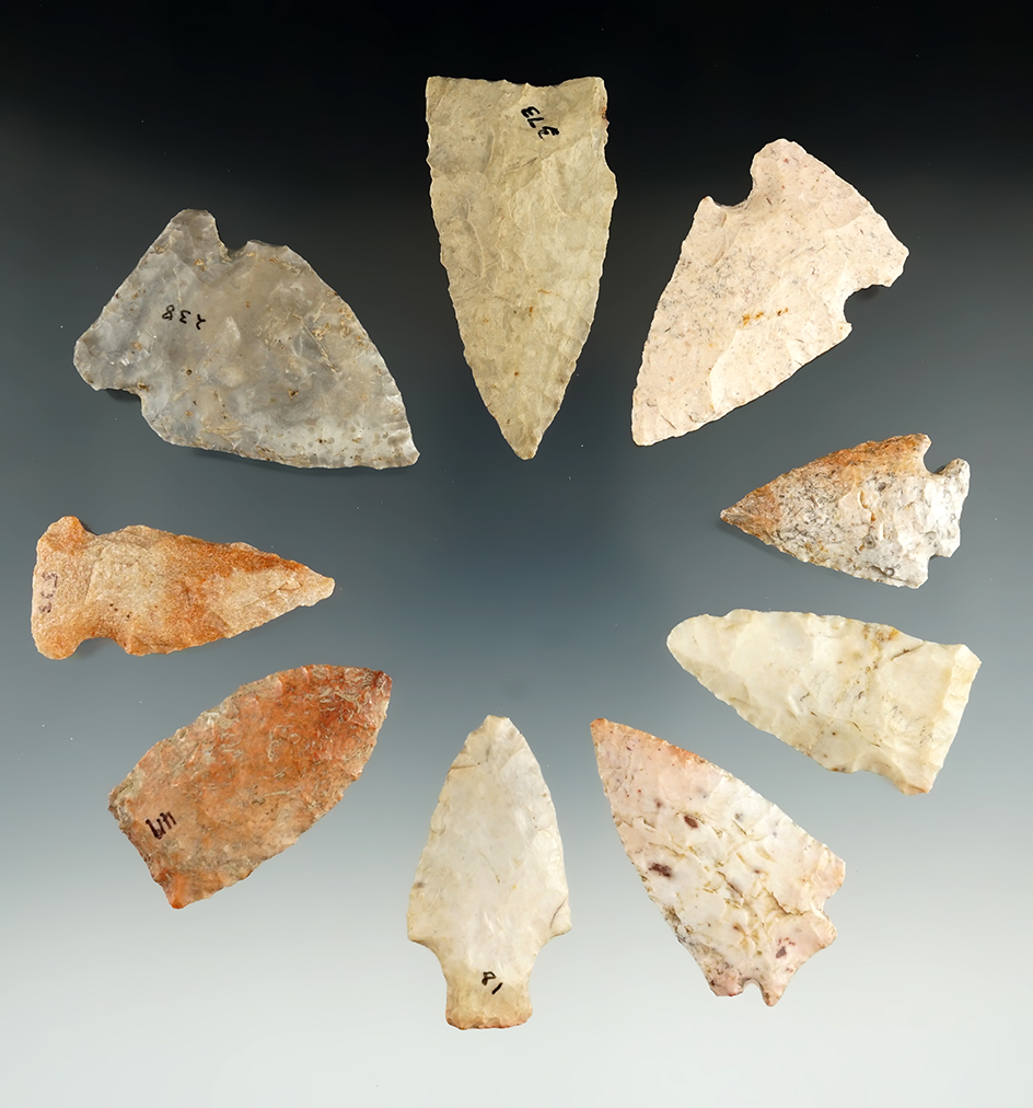 Set of nine assorted Missouri and Illinois arrowheads, largest is 2 3/8".