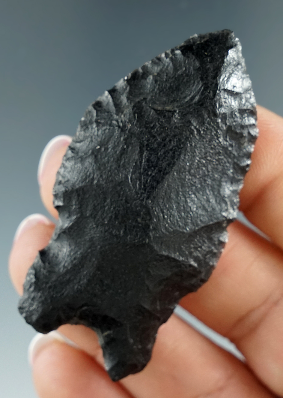 2 5/16" Paleo Windust found in southeastern Oregon. Ex. Jim Hogue collection.