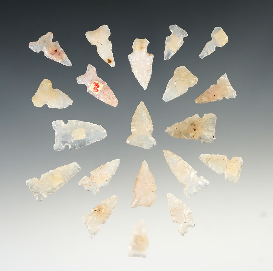 Group of 20 Assorted Arrowheads found in New Mexico in 1957, largest is 15/16".