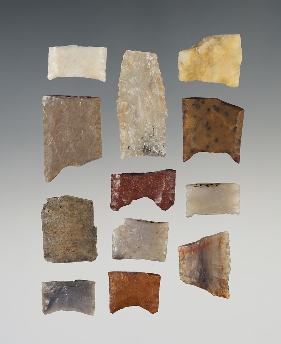 Set of 12 Paleo Bases found in New Mexico. Largest is 1 1/2".