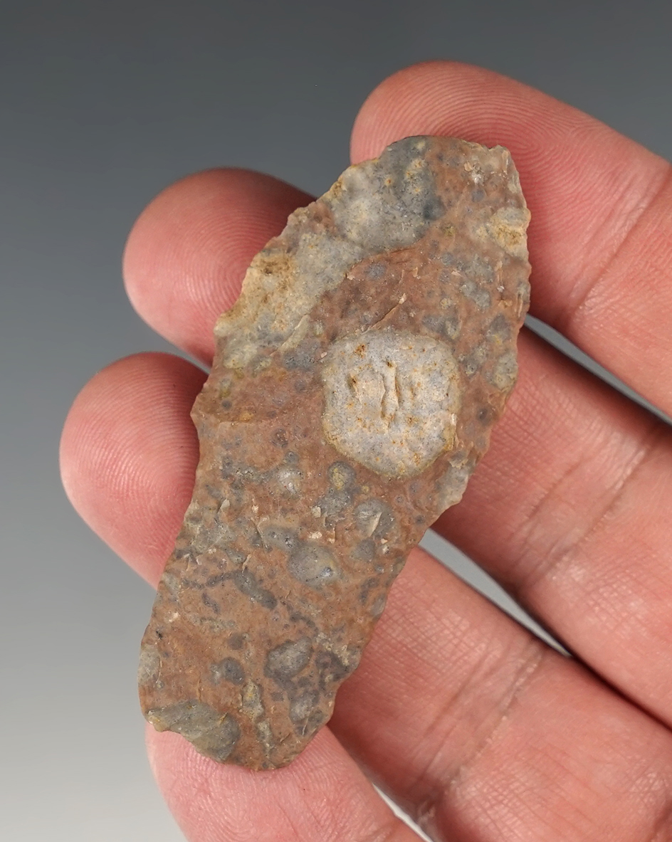 2 3/8" Rio Grande with a heavily ground stem area found in New Mexico.