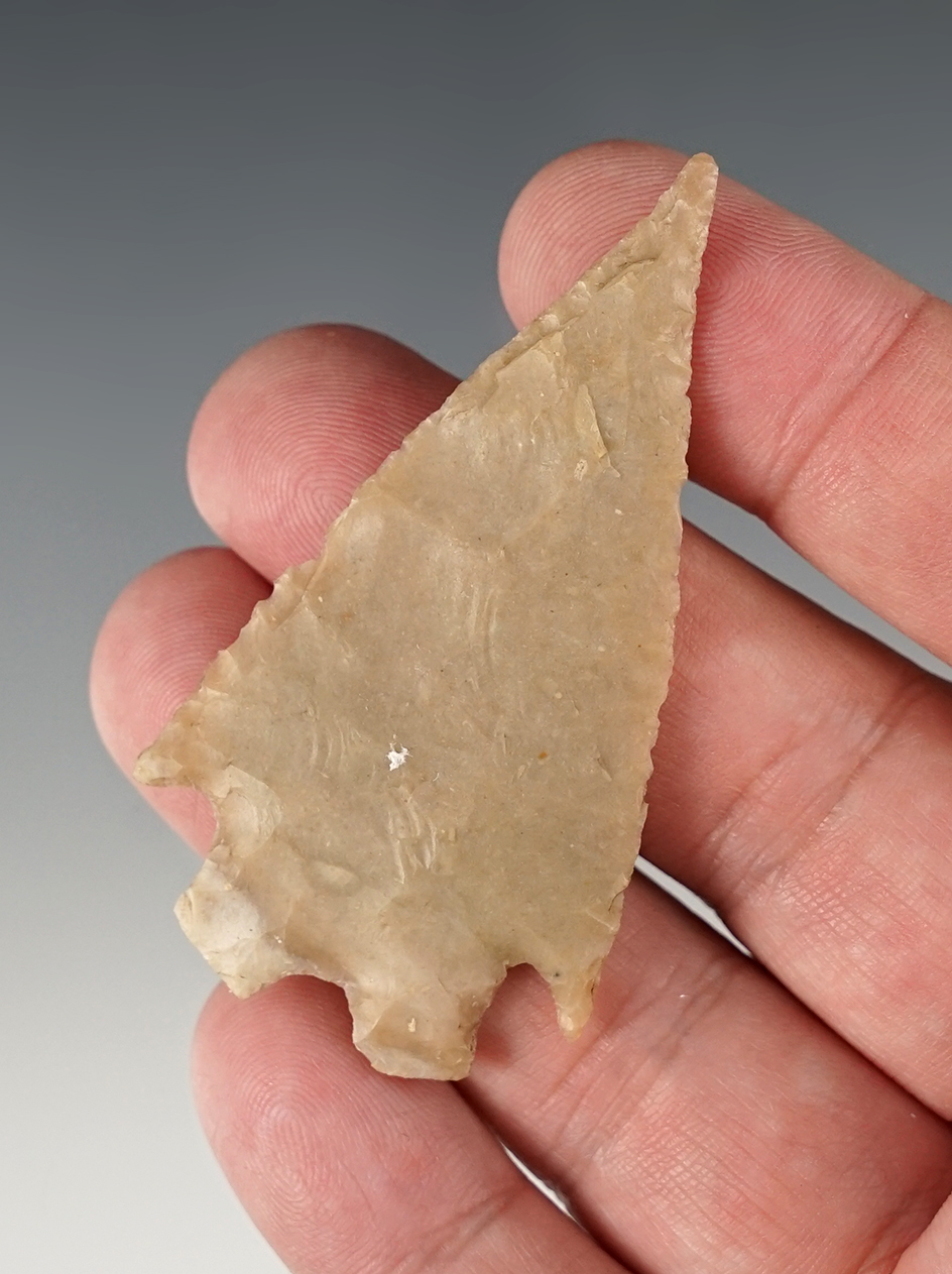 2 9/16" Montell found in Bandera Co., Texas. Comes with a Rogers COA.