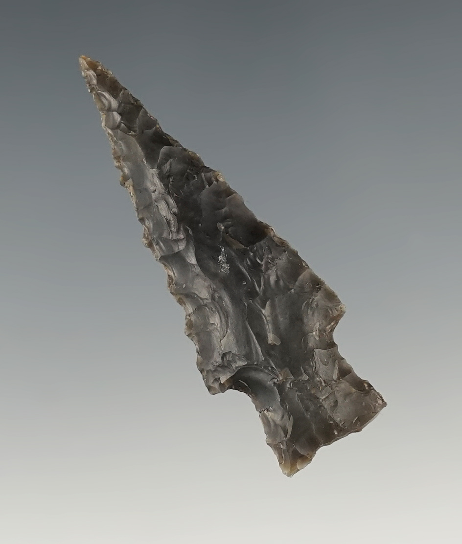 2" Darl point that is nicely styled found in Texas.