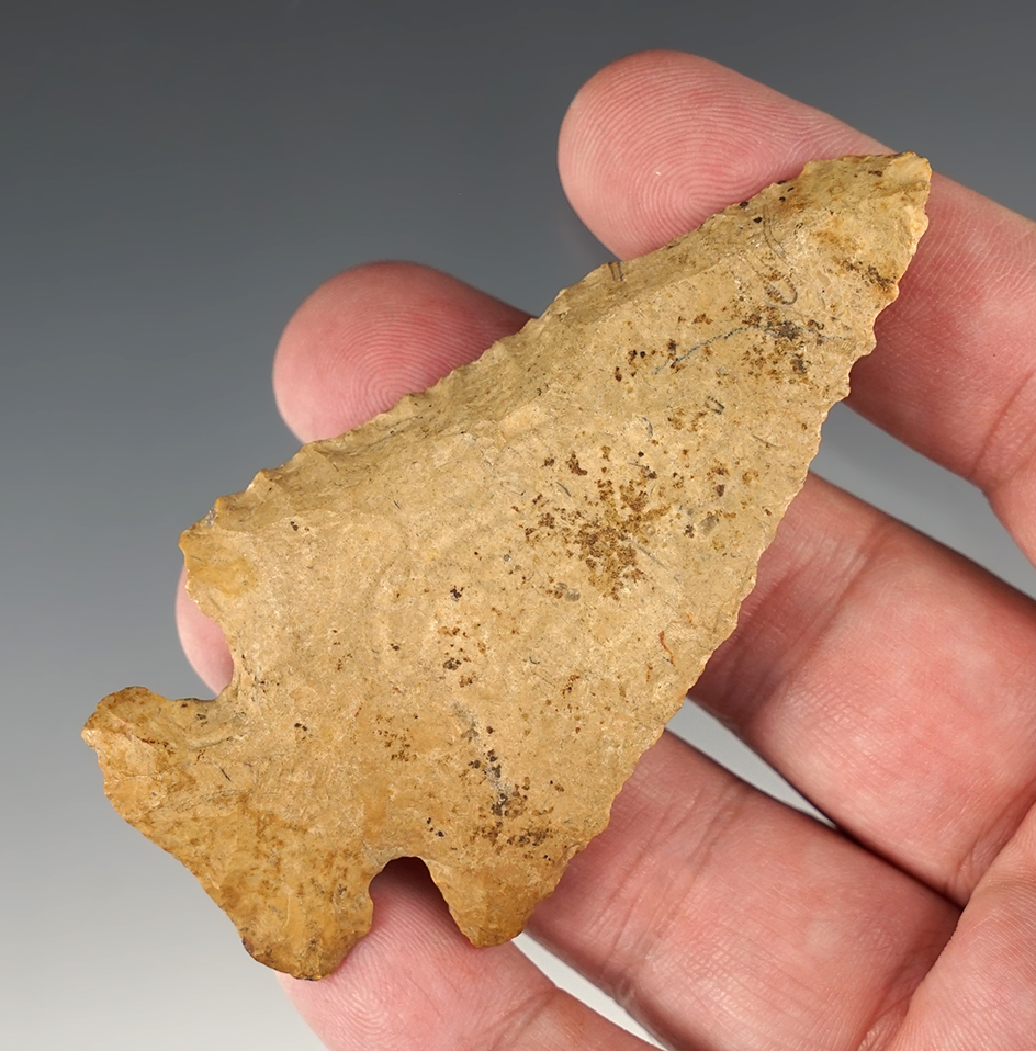 3 1/4" Archaic Thebes made from highly patinated Chert. Found in Kentucky.