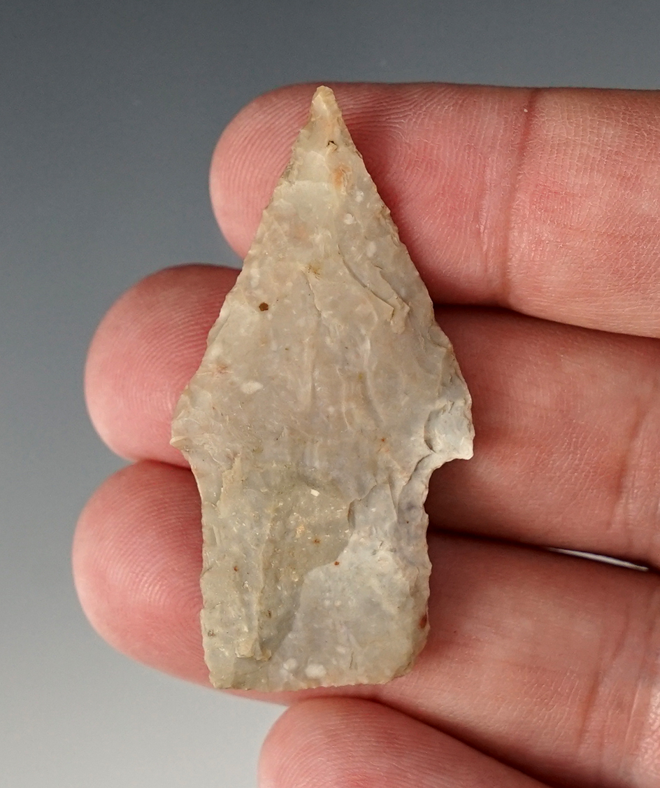 1 15/16" Morrill made from Edwards Plateau Chert, found in Texas. Comes with a Stermer COA.