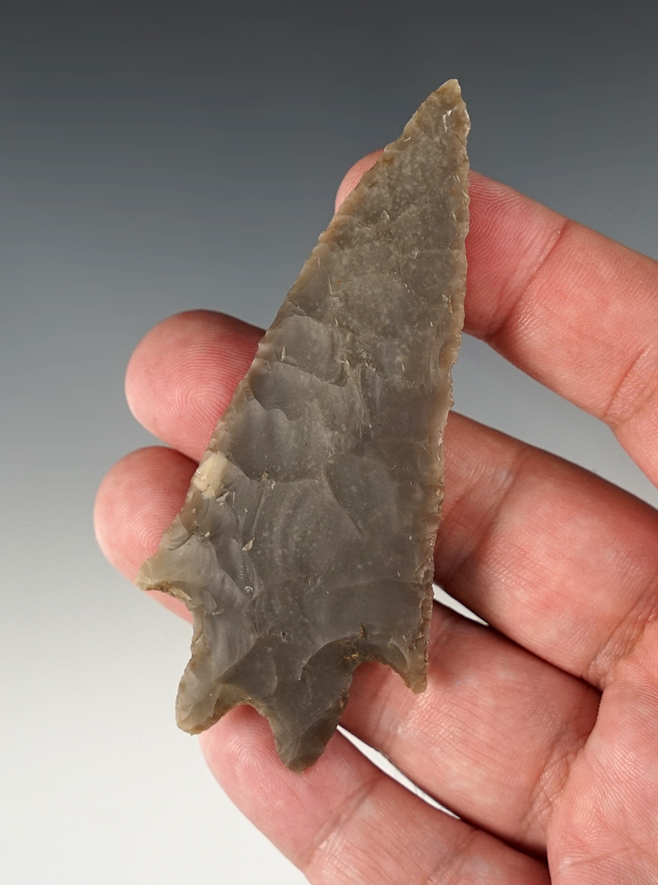3 1/2" Pedernales made from gray chert. Found in Williamson Co., Texas. Rogers COA.
