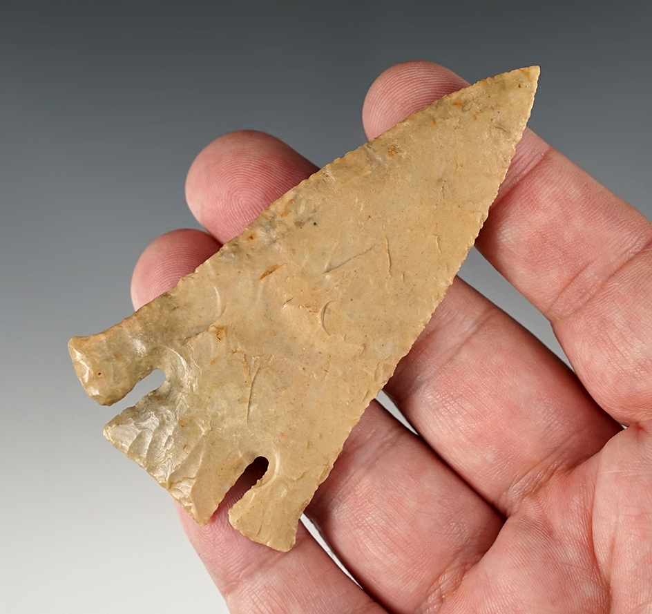 3 3/8" Texas Bell that is thin and well made. 1 ear and 1/4" of the tip have been restored. COA.