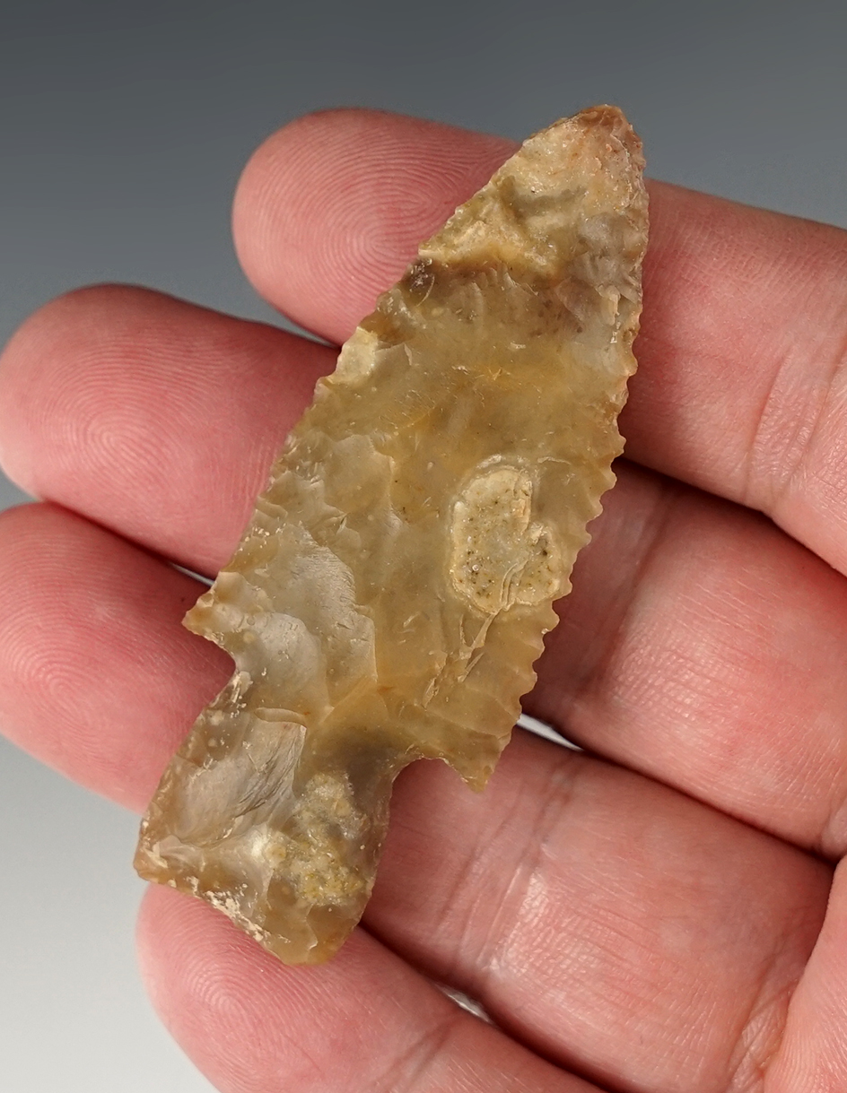 2 5/8" Axtel that is nicely made, found in Williamson Co., Texas. Comes with a Rogers COA.