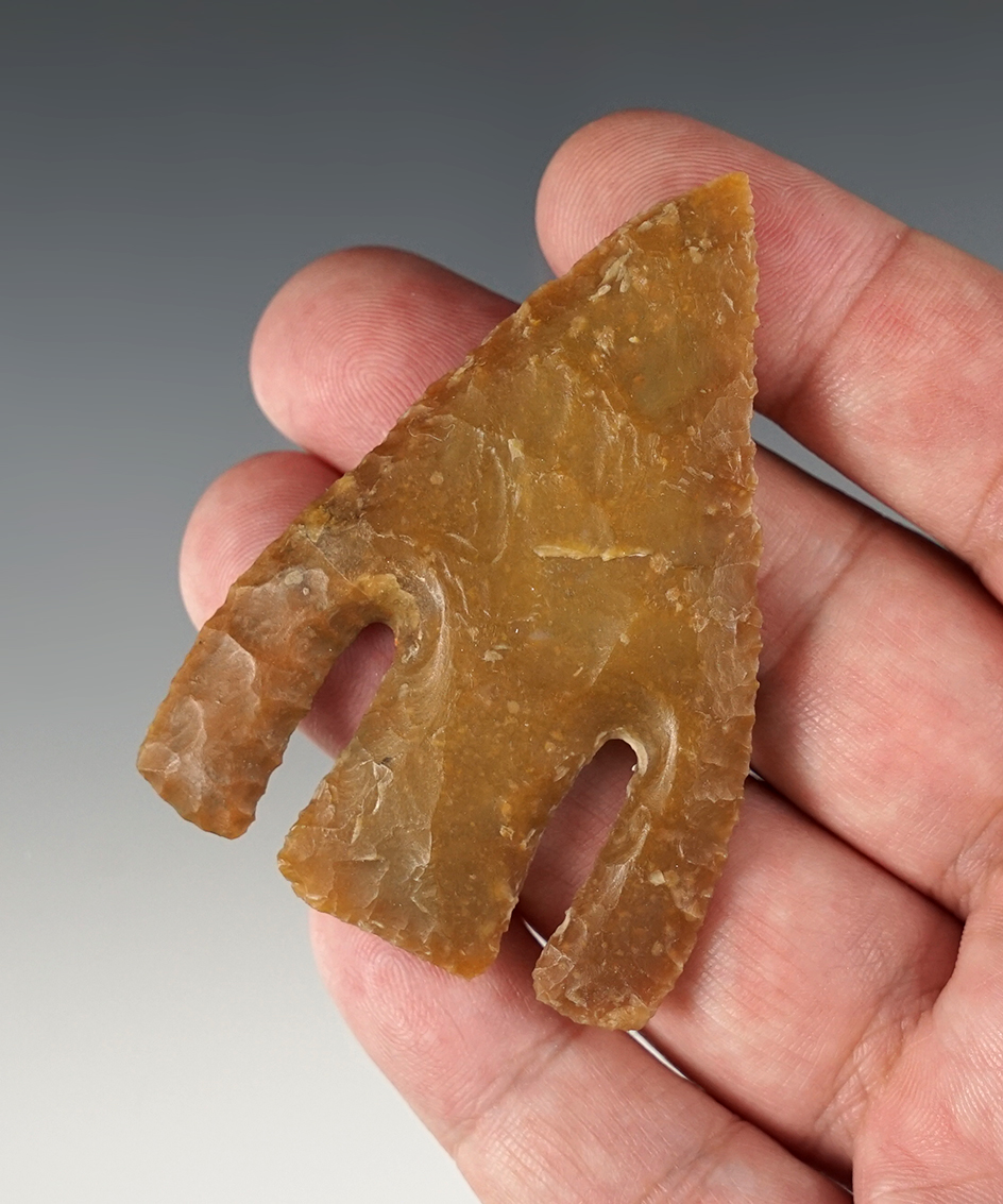 2 5/8" Andice found in Wilson Co., Texas. Professional restoration to one ear. Rogers COA.