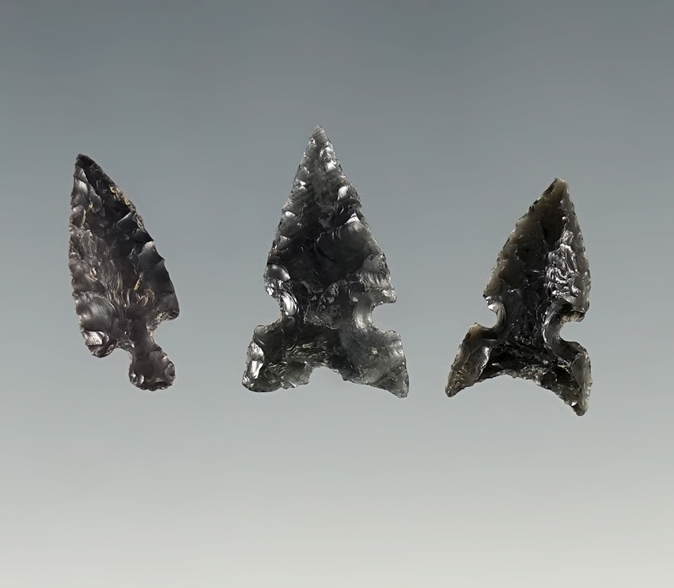 Set of 3 Nice Obsidian Arrowheads found near the Columbia River, largest is 7/8".