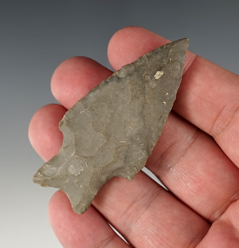 2 3/4" Uvalde -Edwards Plateau Chert. Found in Coryell Co., Texas. Ex. Mike Pennington.