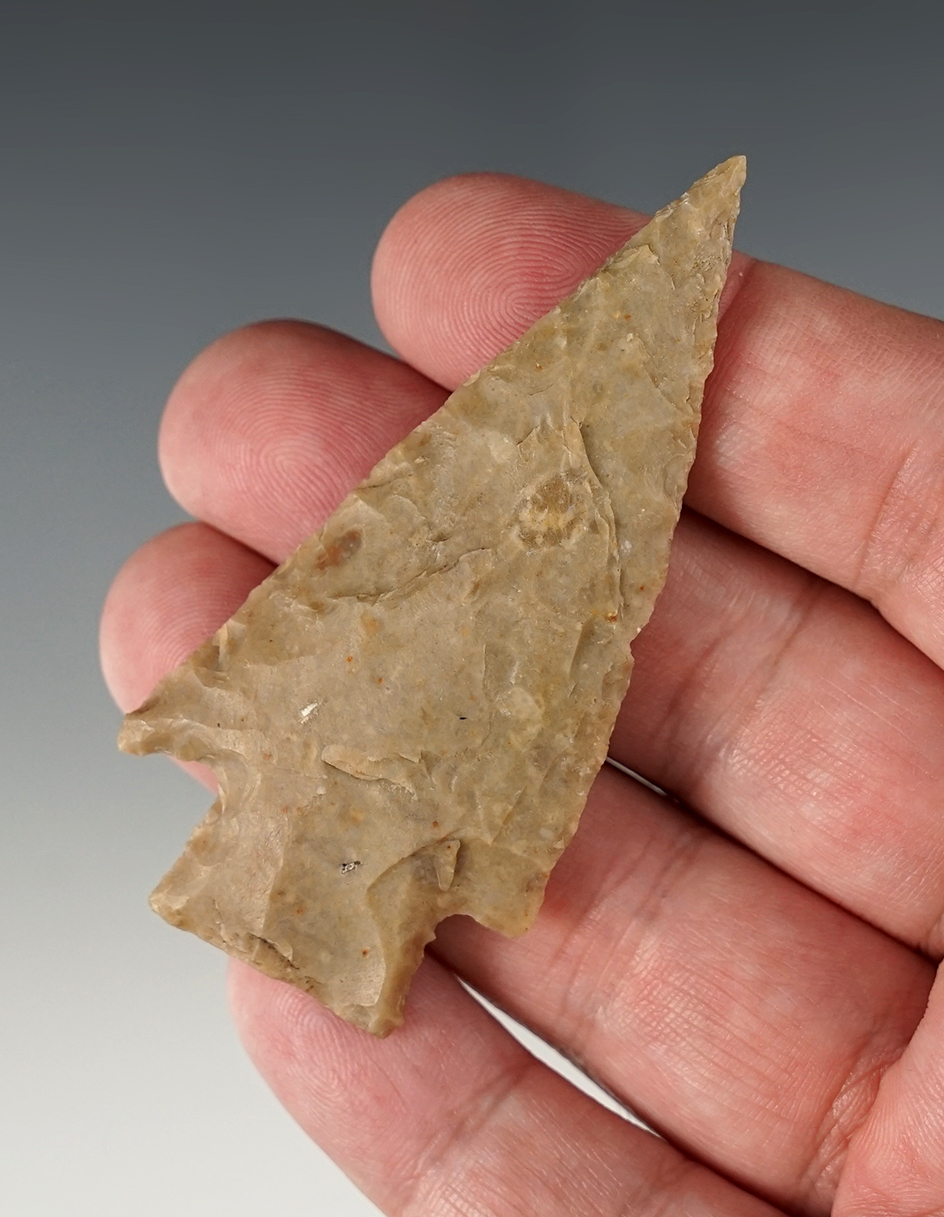 2 3/4" Castroville found in Hays Co., Texas. Comes with a Rogers COA.