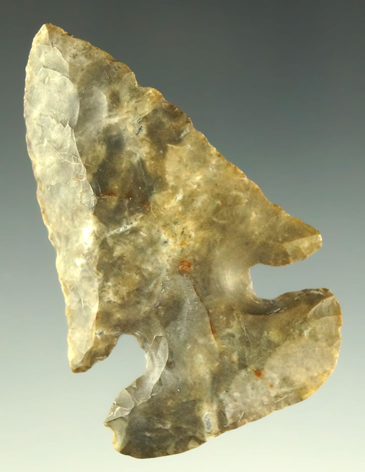 2 5/16" Archaic Thebes Bevel found in Fairfield County Ohio. Ex. Dr. Jim Mills.