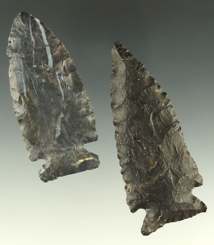 Pair of Coshocton Flint Archaic arrowheads found in Ohio, largest is 3 1/16". Ex. Dr. Jim Mills.