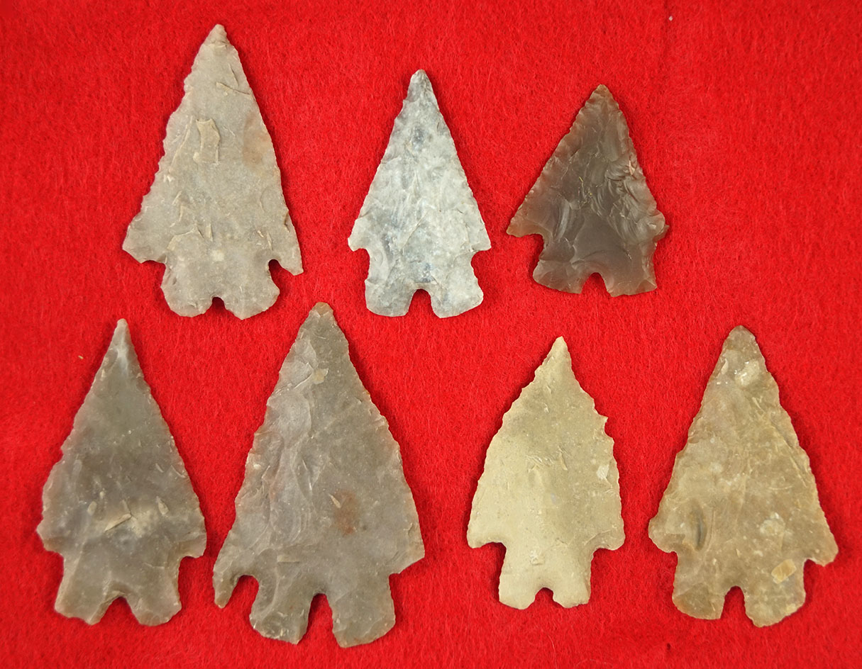 Set of seven Montell points found in Texas, largest is 2 3/4".