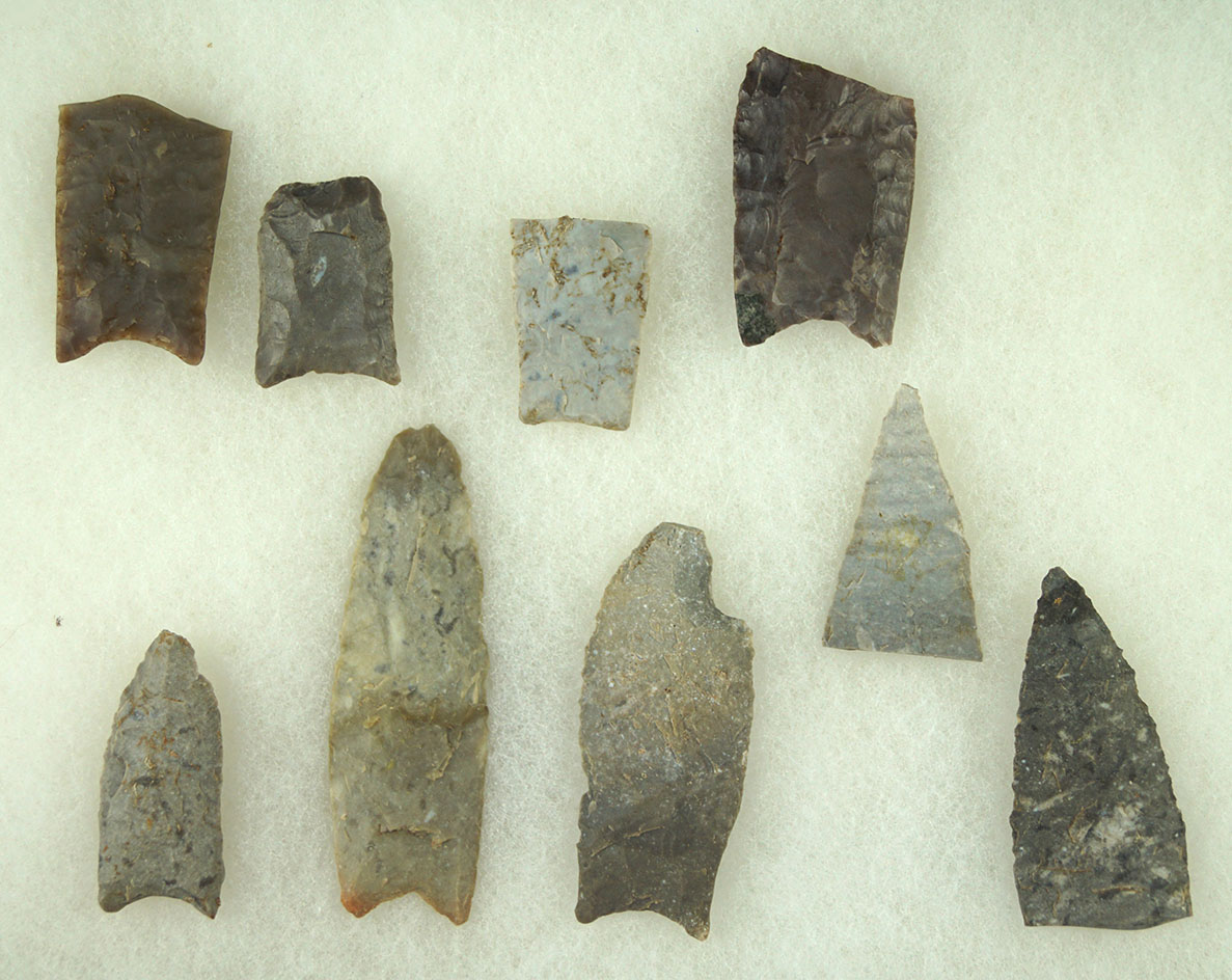 Group of assorted Paleo bases and upper halves found in the Midwest.