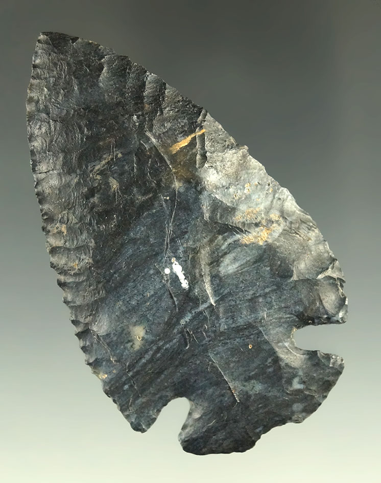 3 1/16" Coshocton Flint Notched Base Dovetail found in Knox County Ohio.  Ex. Driskill.