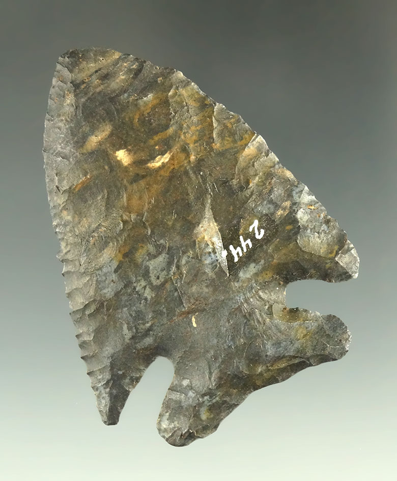 2 5/16" Coshocton Deep Notch Archaic found in Coshocton County Ohio. Ex. Driskill.