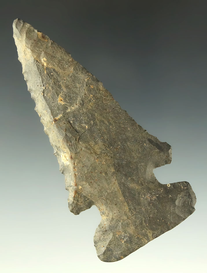 3 5/8" Coshocton Flint Archaic Thebes Bevel found in Union County Ohio.