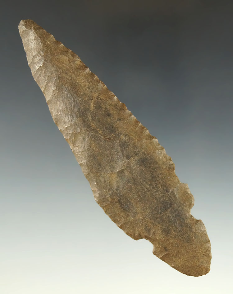 4 7/16" Turkeytail found in southern Indiana. Ex. Robert Burke collection.  Bennett COA.