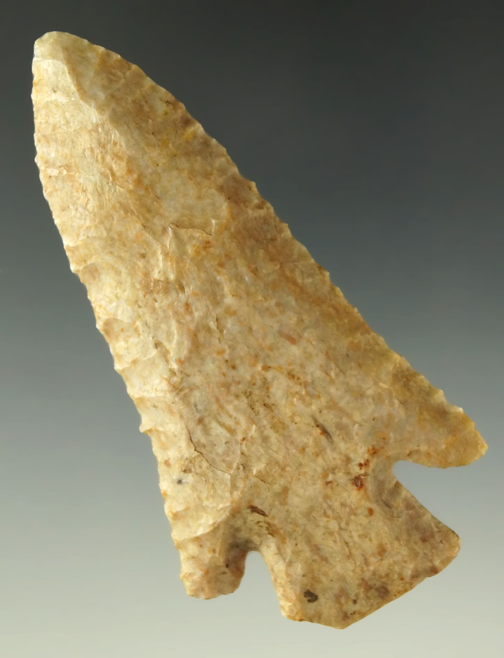 3 1/16" Hardin made from fossiliferous Flint found in Union County Illinois. Ex. Len Weidner.