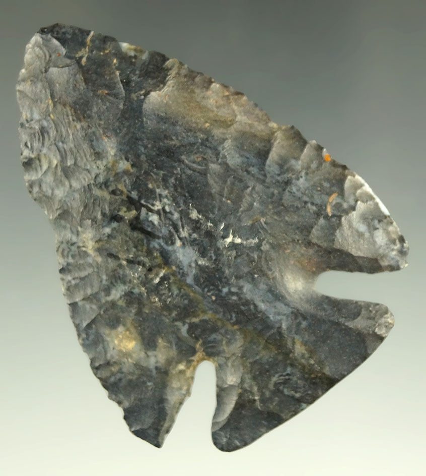 2 3/8" Coshocton Flint Lost Lake found in Richland County Ohio. Comes with a Jackson COA.