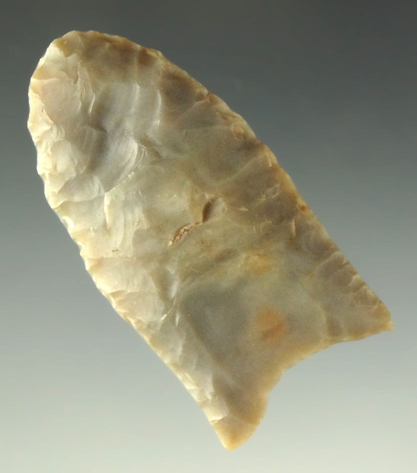 1 13/16" Paleo Fluted Clovis - Flint Ridge Flint found in Hancock County Ohio. Rogers COA.