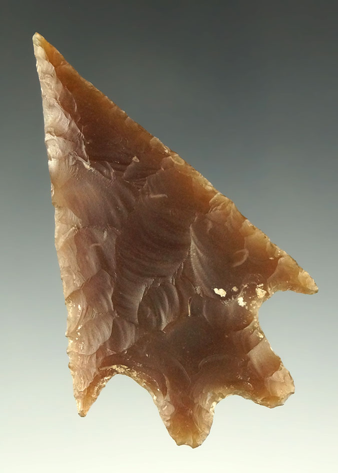 2 11/16" classic style Pedernales found in Texas. Pictured in the Overstreet 15th.  Ex. Museum!