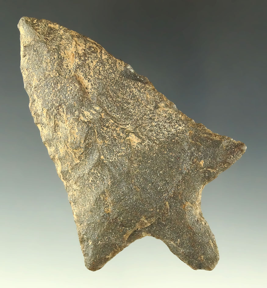 3 13/16" Marion point - Ex. Shewey collection. Rogers COA.  Deaccessioned Museum Artifact!