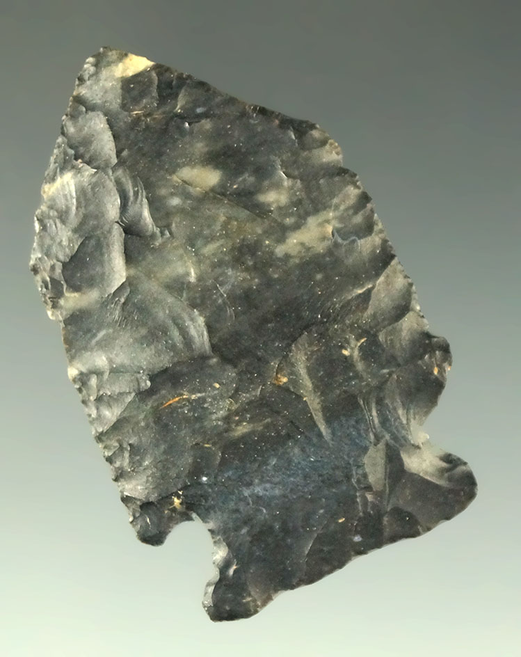 1 9/16" Coshocton Jacks Reef Pentagonal  - Tuscarawas County Ohio Pictured!  Ex. Museum!