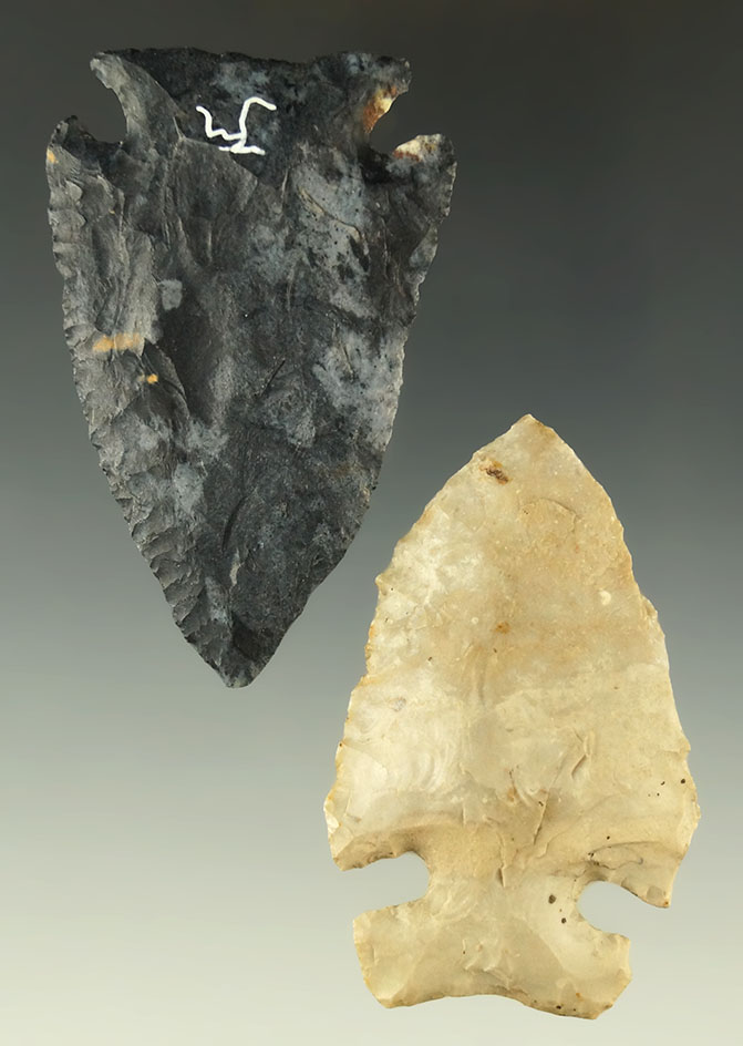 Pair of Archaic Cornernotch points found in Ohio, largest is 2 9/16". Ex. Dr. Jim Mills.