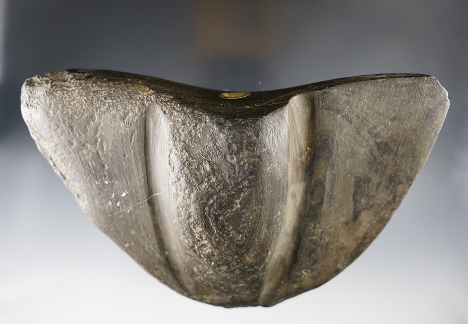 Very large 6 5/8" x 4 1/4" Wing Bannerstone Preform. Found in Hamilton Co., Ohio. 