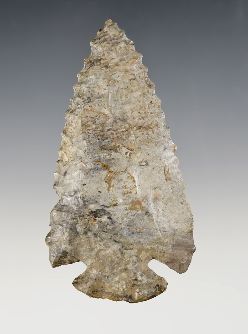 3 1/2" Dovetail with a restored tip and one shoulder. Found in Logan Co., Ohio.