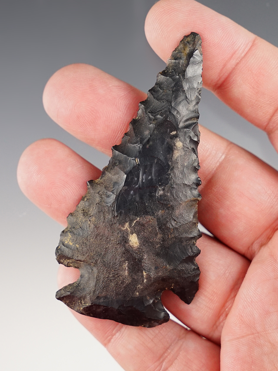3 1/8" Archaic Bevel with excellent serrations made from Coshocton Flint found in Ohio.