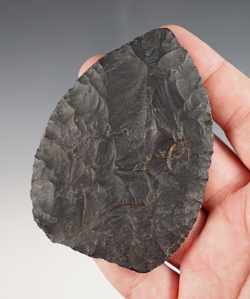 Well flaked 3 5/8" Coshocton Flint Blade found in Ohio that is thin for size and style.