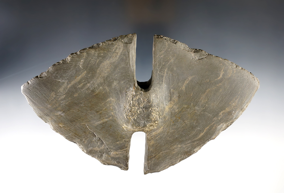 Very large 7 7/8" wide by 4 1/2" tall Double Notched Bannerstone Preform that is partially drilled.