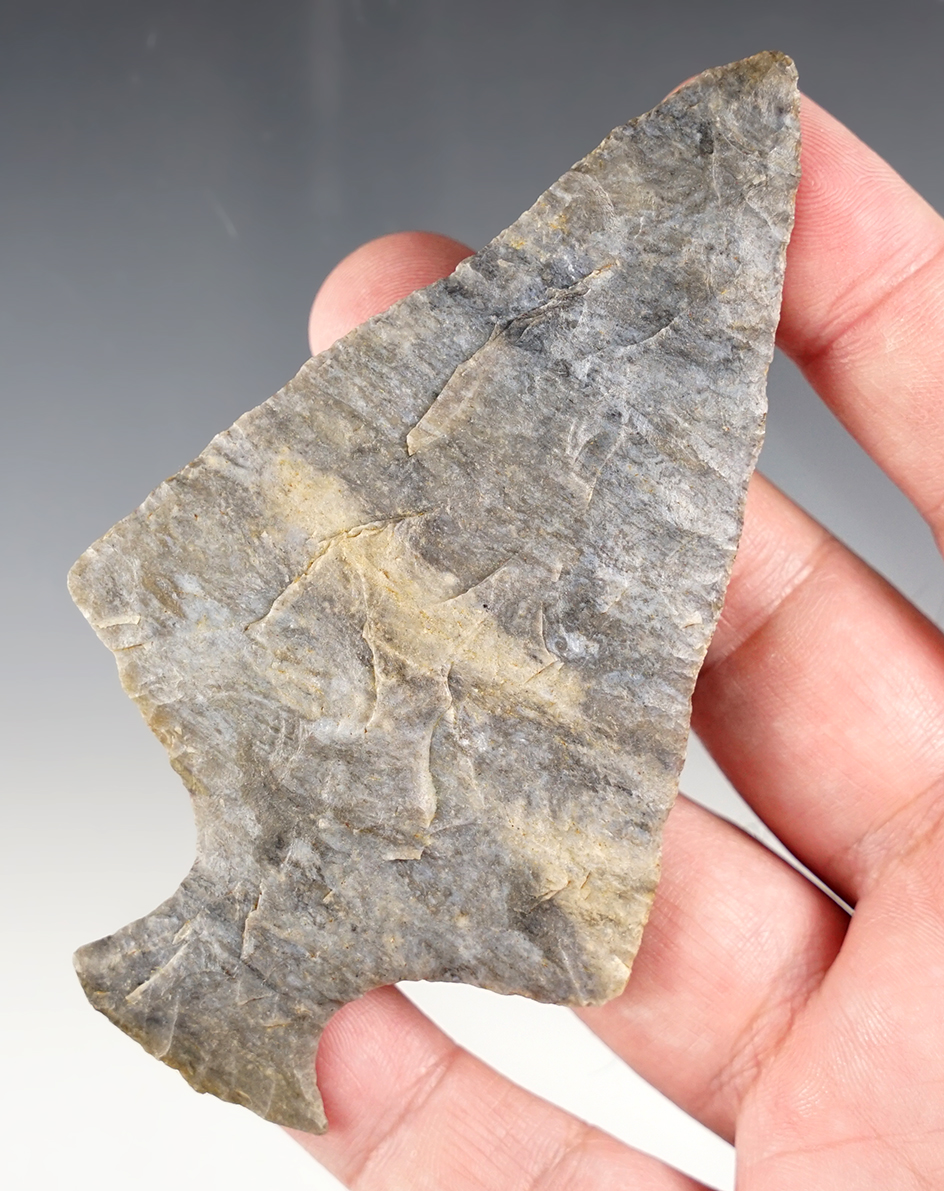 4 1/4" x 2 1/2" wide Coshocton Flint Ashtabula Point found in Coshocton Co., Ohio.
