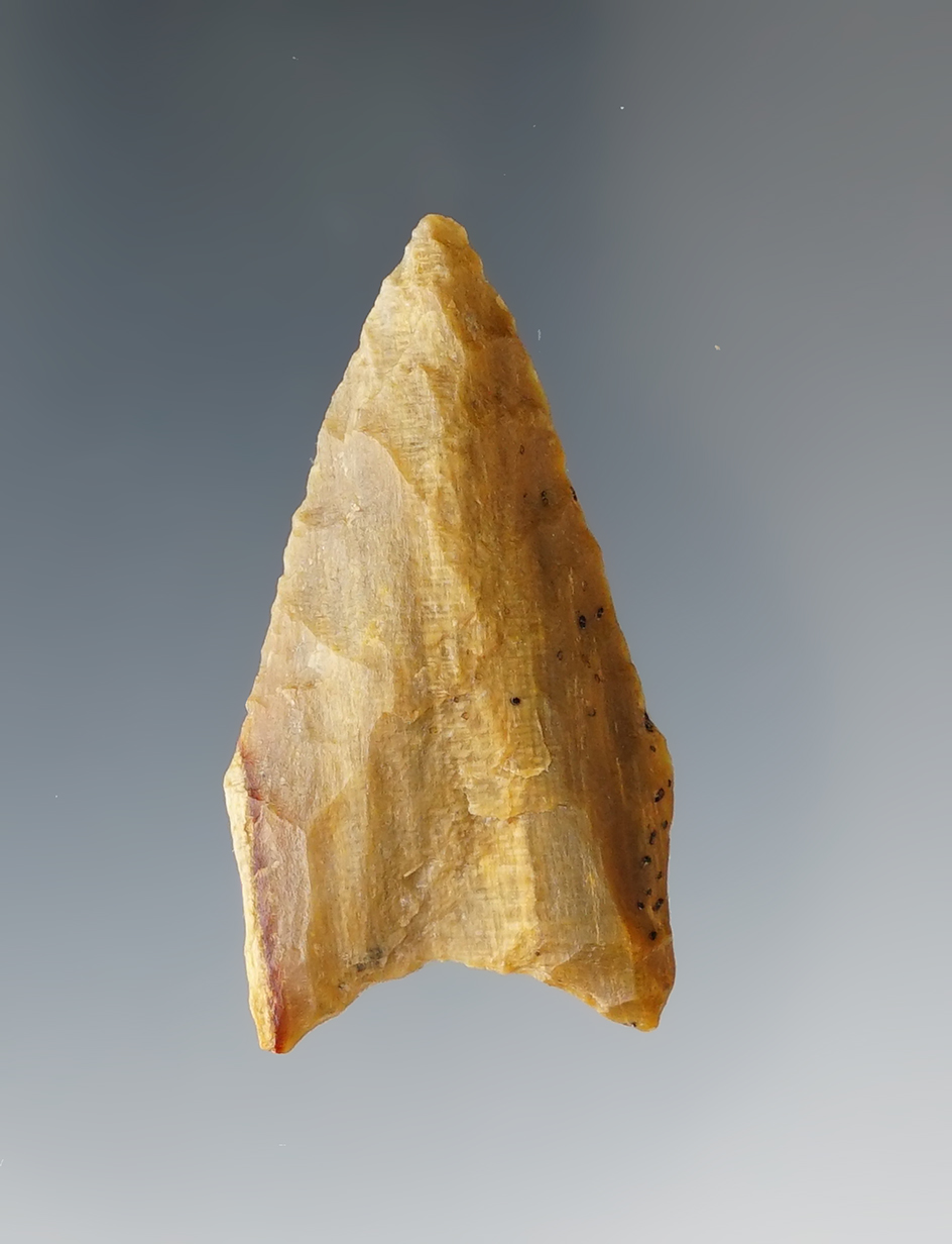 1 9/16" Plainview made from Petrified Wood. Found in Lee Co., Texas. Comes with a Rogers COA.