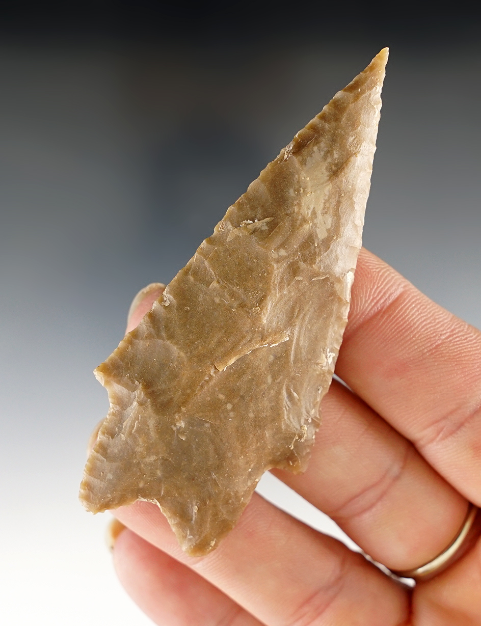 2 15/16" Pedernales found in Hays Co., Texas. Comes with a Rogers COA.