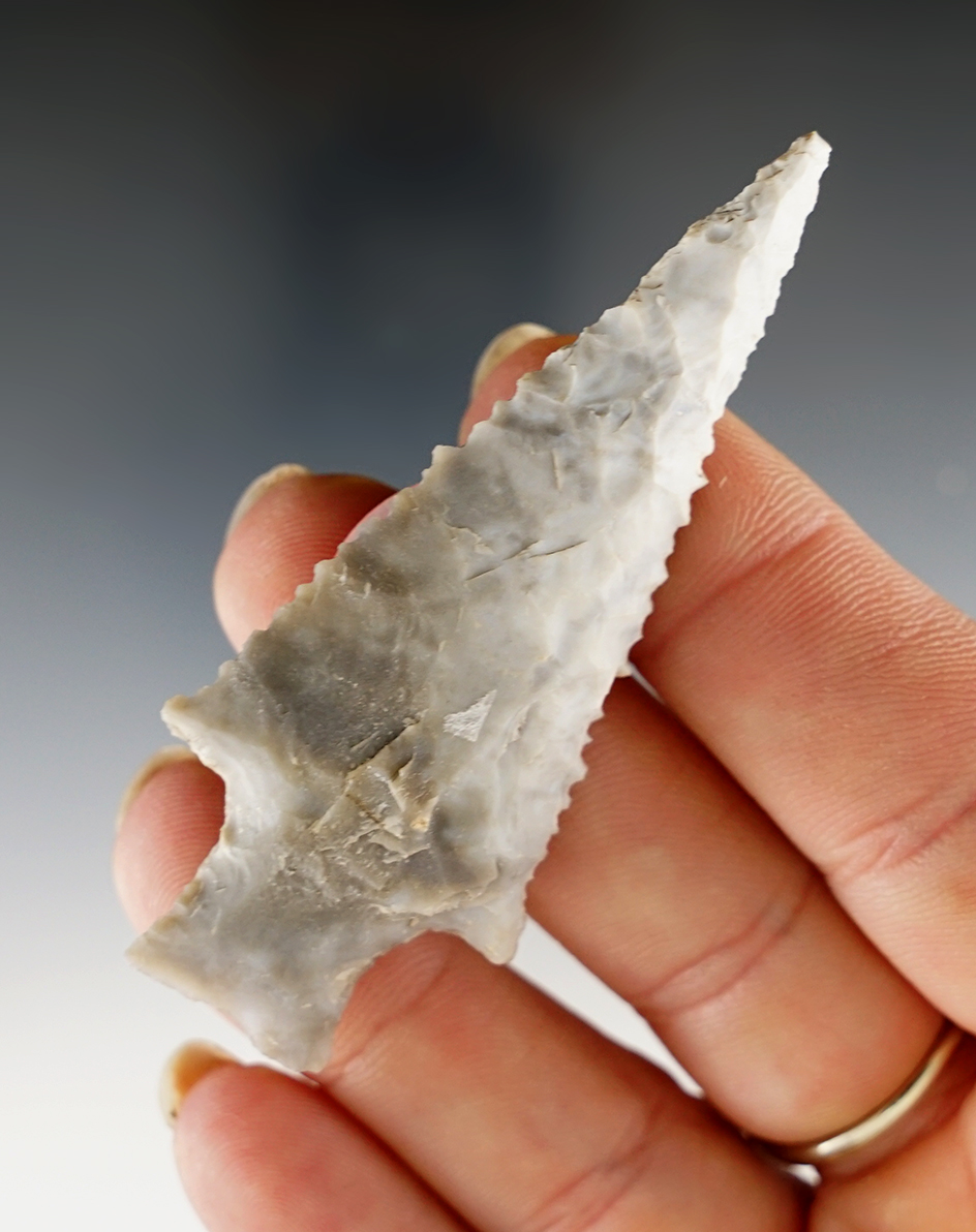 2 5/8" Darl made from light gray Chert, found in Williamson Co., Texas. Comes with a Rogers COA.